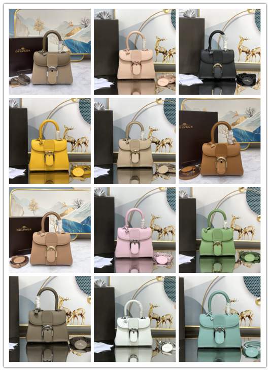 Picture of Delvaux Handbags _SKUfw176136979fw